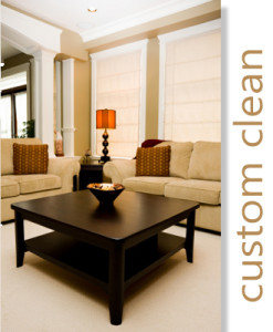Custom Clean living room - by Maid in Windsor Ontario Canada