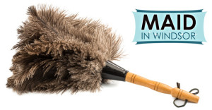 maid_in_windsor_feather-duster
