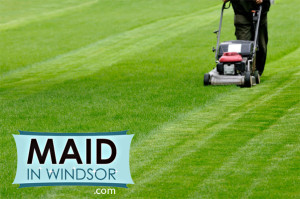 out-in-the-yard--maid-in-windsor-2014-spring-newsletter