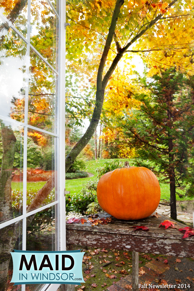 pumpkin-in-garden-maidinwindsor-blog-newsletter-Fall-2014