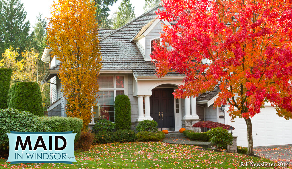 residential-home-during-fall-season-maidinwindsor-blog-newsletter-Fall-2014